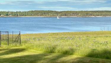 Hard Aground - Ocean View - Pet Friendly! SWH - Photo 4