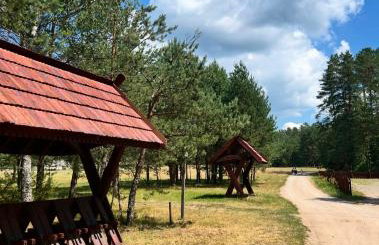 Dom Kozia Górka - dom w sercu Puszczy Knyszyńskiej, dostępna bania z jacuzzi za dodatkową opłatą - jacuzzi available for an extra fee - Foto 41