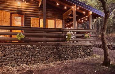 Woods Etna Chalet - Photo 58