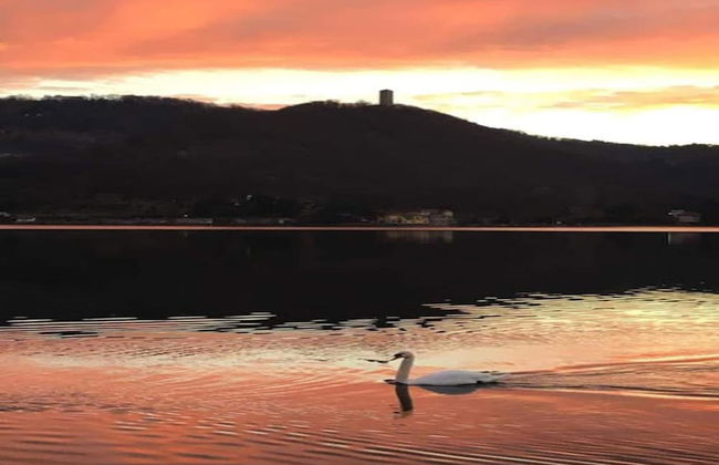 A Castle Stay in Wine Country - Foto 39