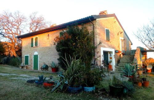 la cana dolce - Foto 1