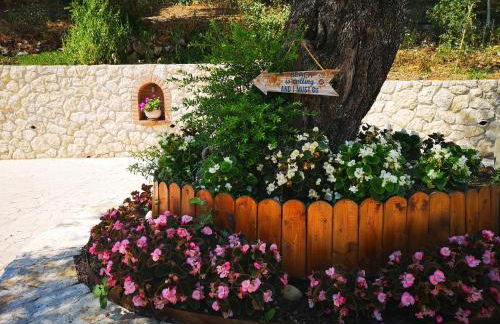 Nikoli Apartments - Foto 22