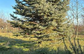 Podroom LauMarYvo - Foto 21