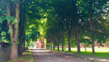 Ferienwohnung Adelheid - Photo 3