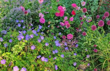 Large private home with small lake and garden - Photo 13