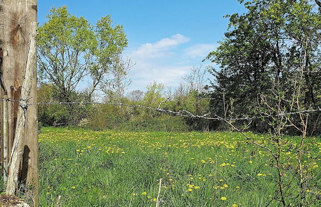 4 Person Holiday Home in Kopingsvik-by Traum - Foto 14