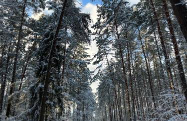 APARTAMENT CENTRUM - Foto 68