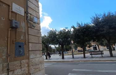 Terry house - Foto 21