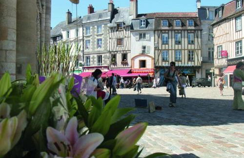 Villa in France with Pool and Private Garden - Foto 25