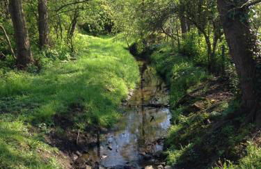 Ferienwohnung Niederrhein - Foto 28