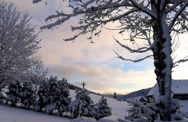 Haus Zum Sternen - Photo 12