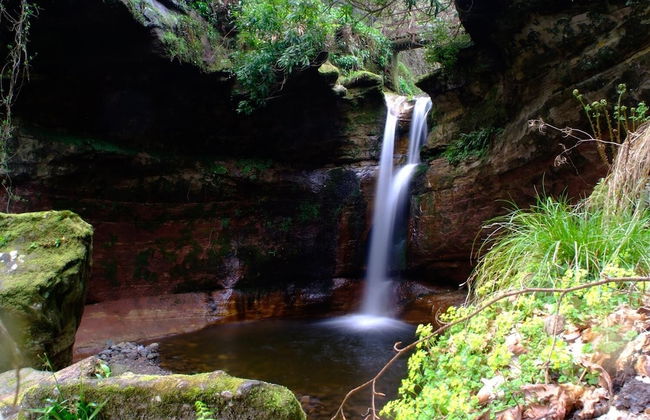 Stunning Premium Yurt in Kelburn Estate Near Largs - Foto 22
