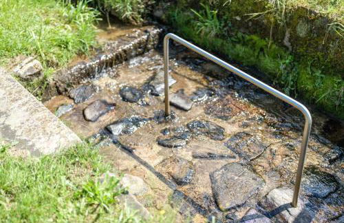 Ferienhaus Vollmer - Foto 9