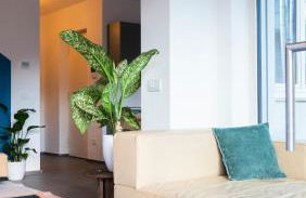 Appartamento Angeli - Photo 52