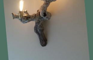 Boscoscuro - Foto 45