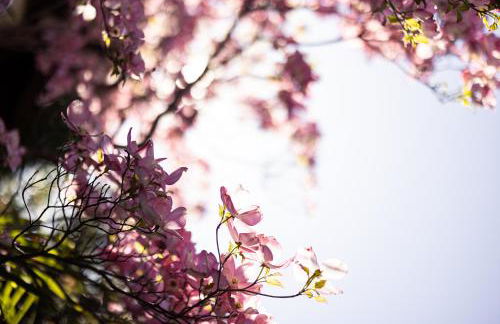 Die Villa bei Meran - Foto 50