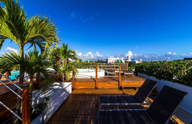 La Papaya Plus 303 by Vimex - Foto 16