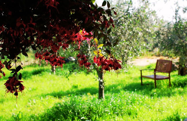 Don Federico Country Inn - Foto 26