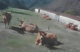 Turismo Rural No Gerês - Foto 30