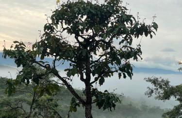 Casablanca Villas CB - Foto 27