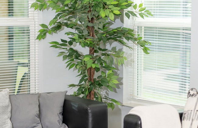 Beautiful Vacation Home Near Disney - Foto 5