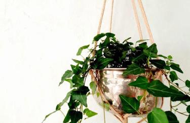 Cosy and unique Thatched Cottage on Dartmoor - Foto 16