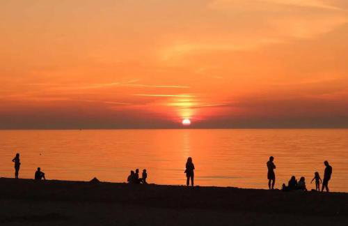 Freiraum Wytowno - Foto 37