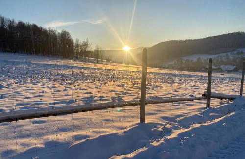 Domki Pod Lasem - Domek Brzozowy - Foto 47
