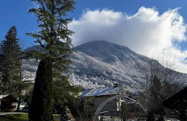 Villa & Appartments des Muriers - 500 m du Lac - Foto 35