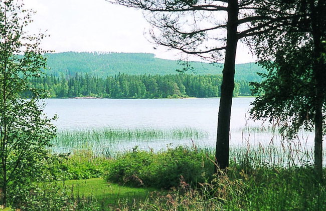 6 Person Holiday Home in Torsby - Foto 28