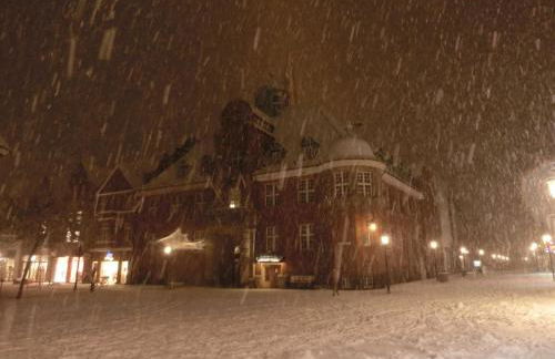 Ferienwohnung Zentrum Buxtehude - Photo 48