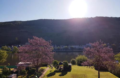 Zum Blauglockenbaum - Foto 21