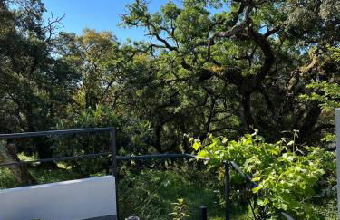 Casa Alana - Foto 10