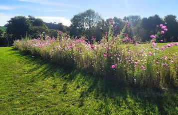 Gîte Paimpol Le Loarwenn - Foto 18