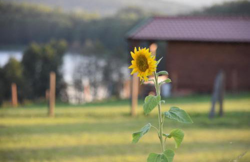 Pasterzewo 19 - Domki na Mazurach - Foto 25