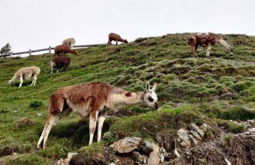 Chalet L'Oustaou 2 - Col du Tourmalet - La Mongie - Foto 25