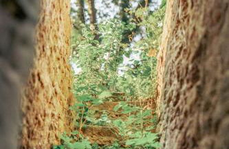 Herrenhaus Burg Vlatten - Foto 10