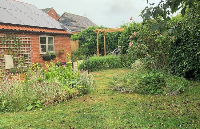 Come & Stay on a Real Norfolk Vineyard - Foto 20