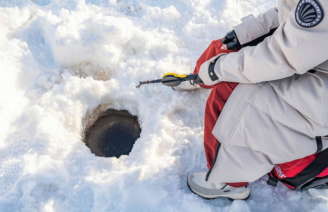 The Elegant Haistila - Foto 55