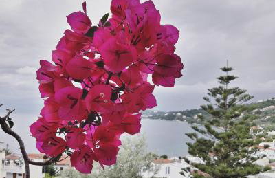 Villa Anna - Foto 58