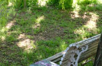 Tenuta Agriturismo La Borina - Foto 80