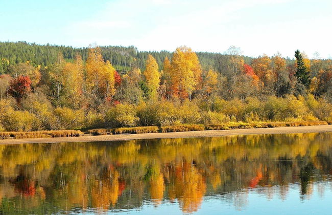 5 Person Holiday Home in Torsby - Foto 14