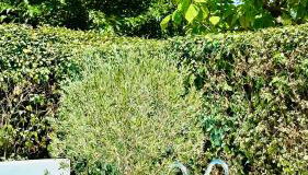 Villa Nature con Piscina Privada · Wifi ·AC · BBQ - Foto 2