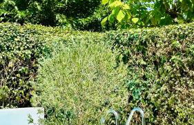 Villa Nature con Piscina Privada · Wifi ·AC · BBQ - Foto 2