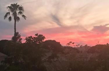 2 pièces terrasse 39m2 à 500m de la plage - Foto 8