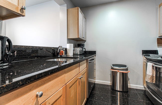 Luxury & Stylish 1br/1ba in Boston South End - BU Medical - Foto 9