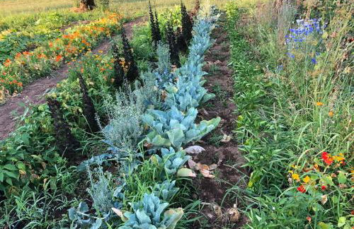 Casa da Menina - Photo 8