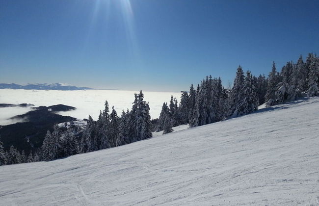 Klippitzstern House 2 - Foto 8