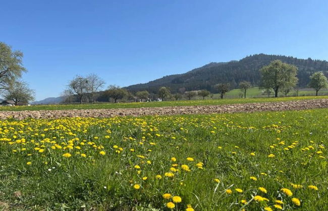 Hideaway Near Black Forest - Foto 19