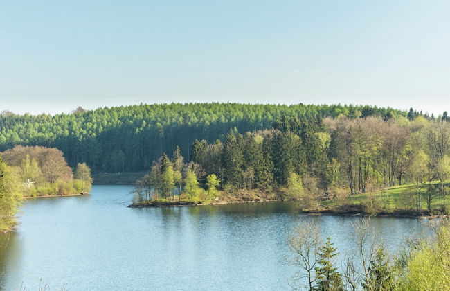 Group Cottage in Sourbrodt - Photo 39